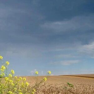 Meet your Posher, Mt